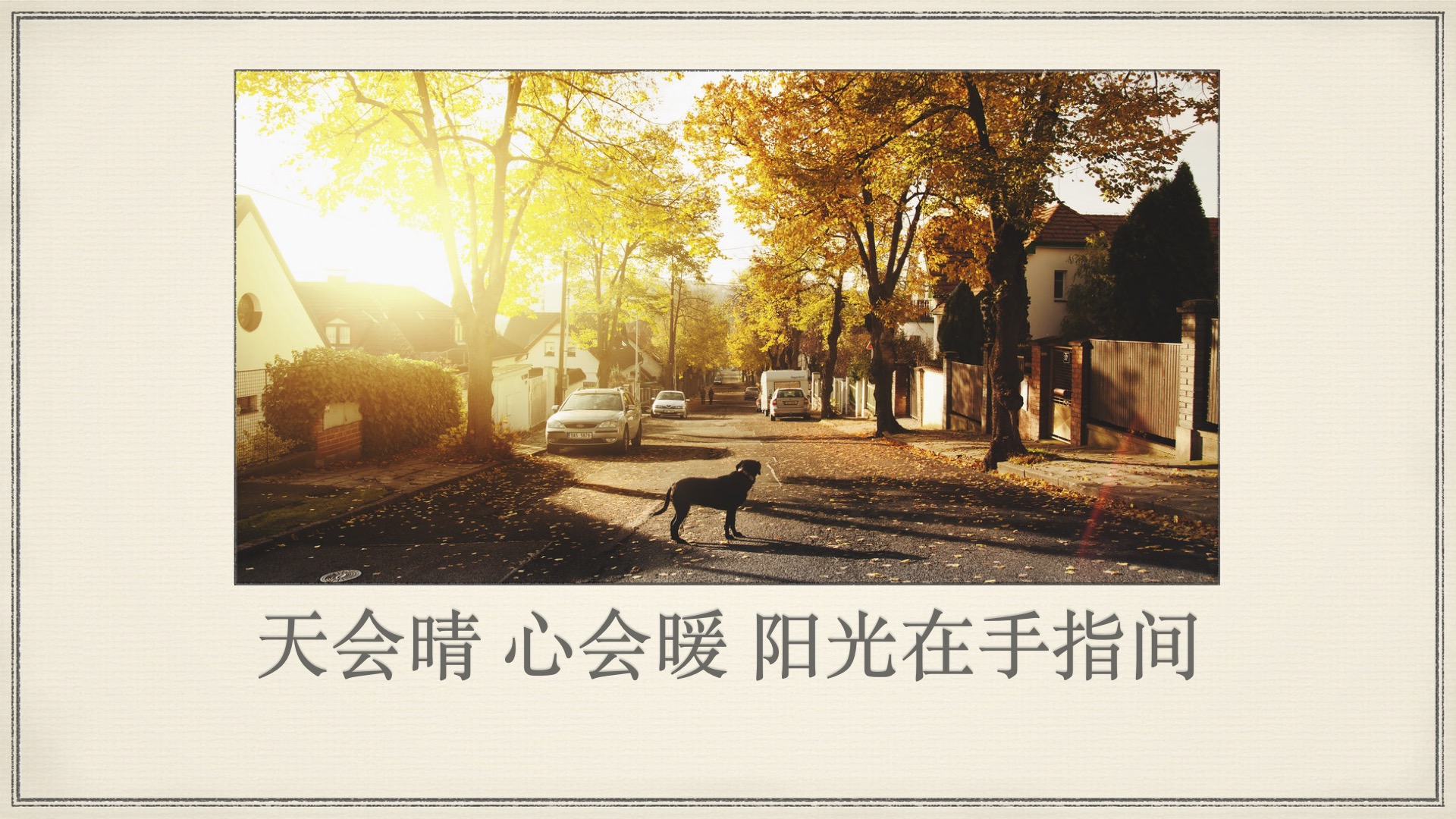 天会晴 心会暖 阳光在手指间